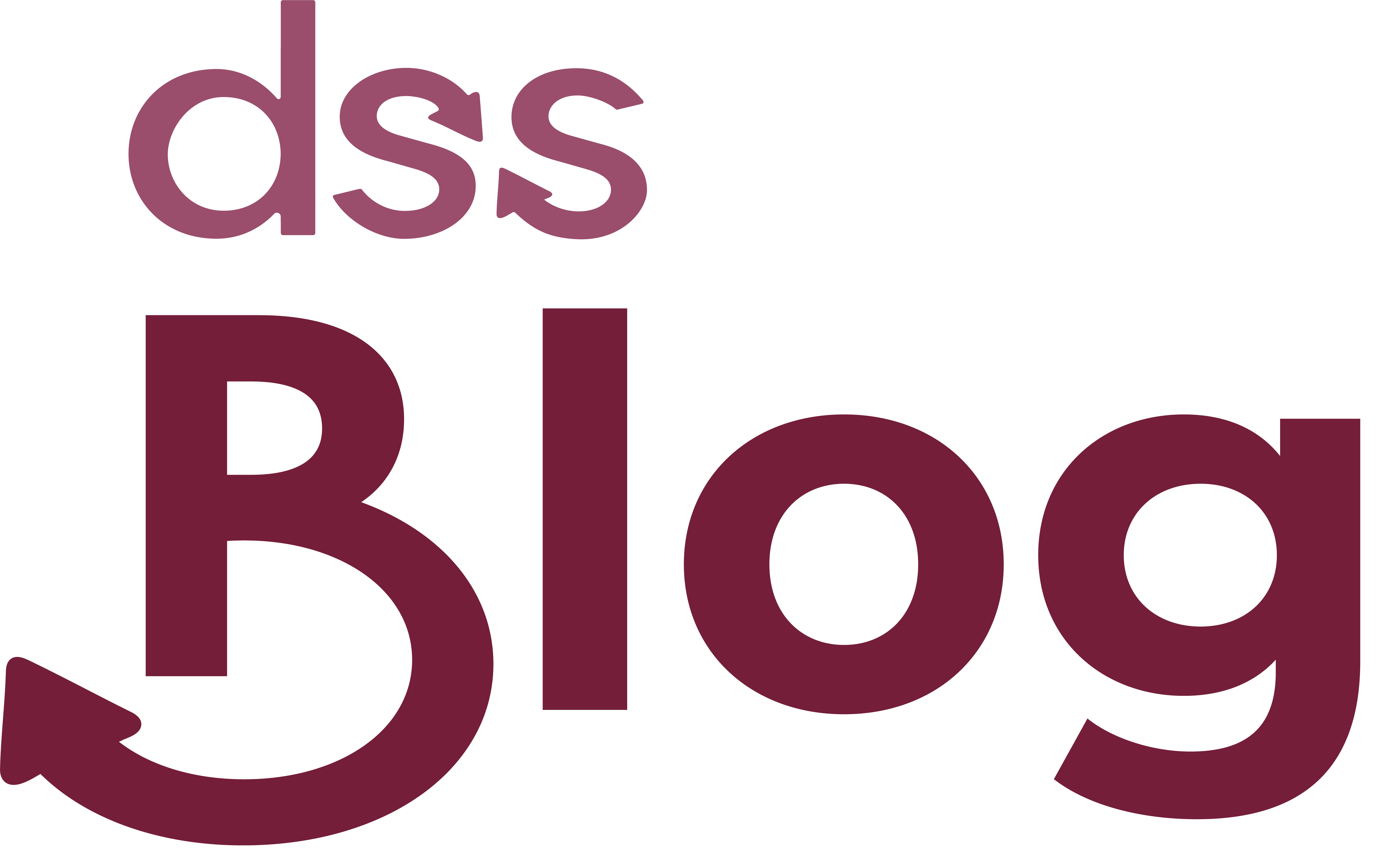 Blog DSS