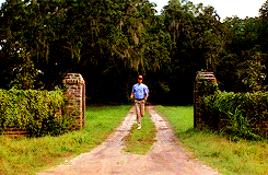 Cena do filme Forest Gump - homem saindo correndo de casa indo atrás de um carro