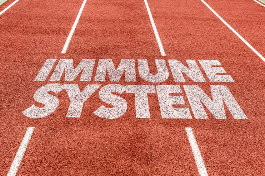 Pista de corrida com escrito "Sistema imunológico"