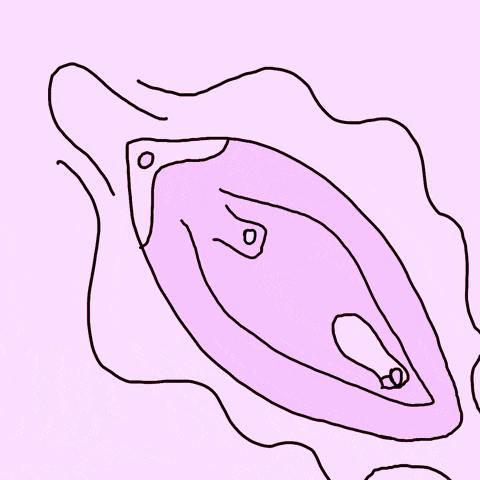 Vídeo de uma vulva desenhada, com sangue cobrindo ela toda, um dos principais fatores do beijo arco-íris