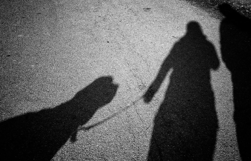 sombra de homem passeando com o cachorro na rua